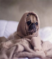 湖南有这样的手机号码，留不住钱，你中枪了吗？