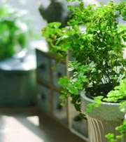 湖南专属于你的开运指南，助你鸿运当头福满身！