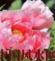 湖南预示你财运上升，姻缘可成的梦境，快来看看吧！