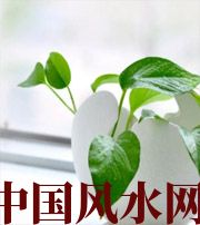 湖南家中摆放六种吉祥物，会打开您的财运大门！