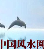 湖南做梦梦到这些，是要富裕的征兆！